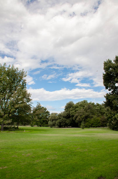 istock City park with grass lawn 987284620