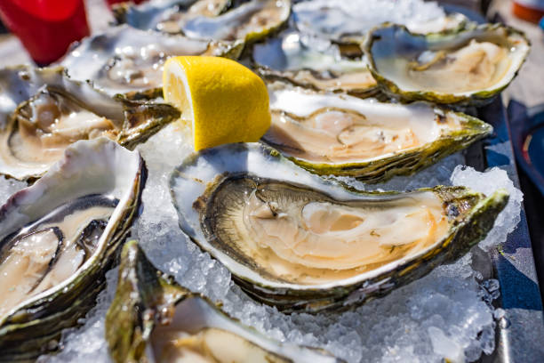 ostriche sgusciate a mezzo guscio su un letto di ghiaccio - senza confini - oyster foto e immagini stock