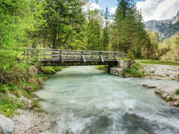 istock Wooden foot bridge above blue green mountain river, spring forest. 987301676