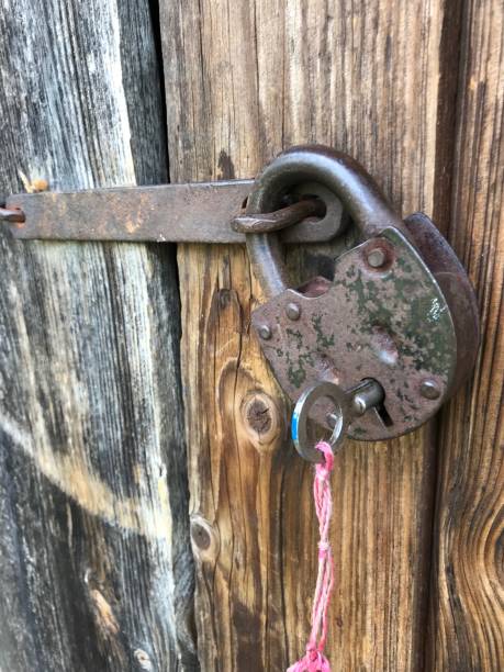istock The old wooden barn is closed on a vintage padlock. 987306616