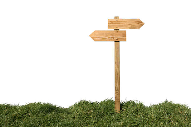istock Blank wooden direction signs in the grass 98730694