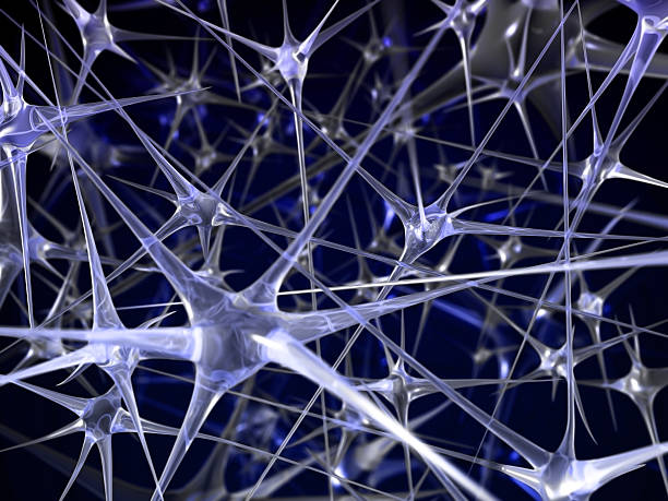 neural network абстрактный фон - nerve cell brain human cell human nervous system стоковые фото и изображения