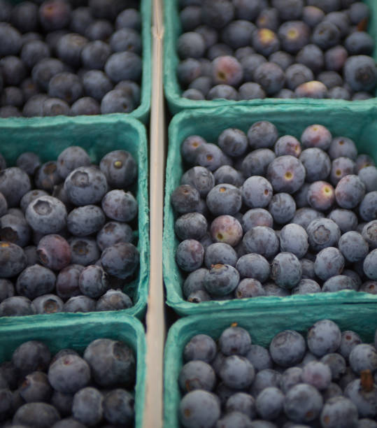 istock Basket of Berries 987307292