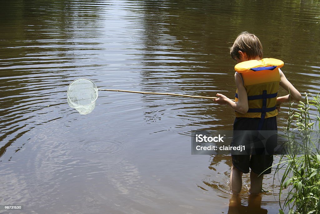 Boy fishing with net  Child Stock Photo