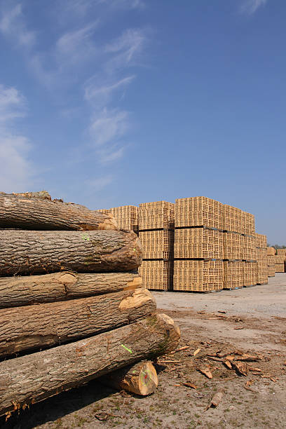 istock Wooden packing crates production 98731639
