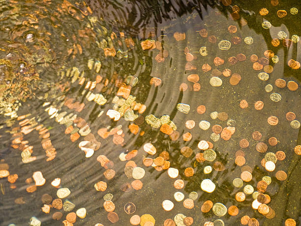Coins in the garden pool stock photo
