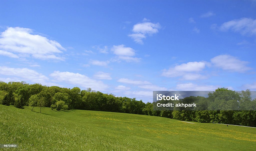 Cielo de verano - Foto de stock de Actividades recreativas libre de derechos