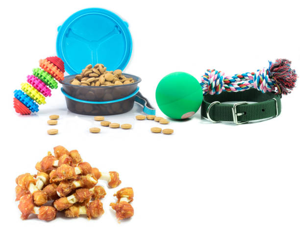 Pet accessories concept.  Dry food, collars and rubber toys for pet on isolated white background. stock photo