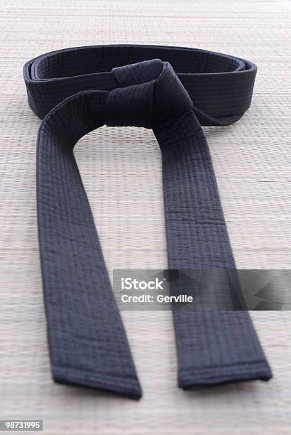 Leader Of Students Stock Photo - Download Image Now - Armed Forces Rank, Black Belt, Color Image