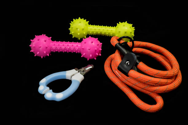 istock Pet Leash, rubber toy and nail scissors on black background.  Pet accessories concept 987320156