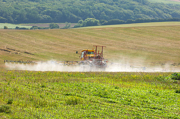 Tractor working on spraying pesticides in wheat plantation. Agricultural fields in the state of Paraná.