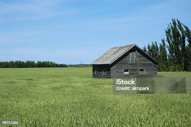 Old Barn 照片檔及更多 住宅內部 照片 - 住宅內部, 住宅建築, 儲物室