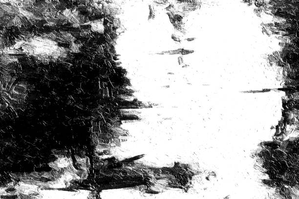 istock Grunge background of black and white 987324284