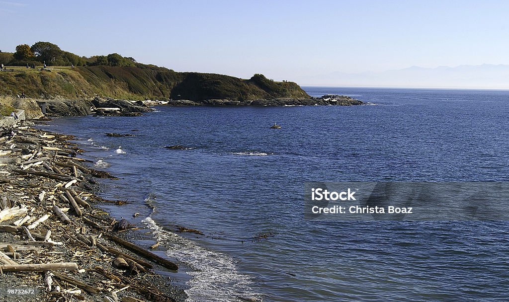 Autumn Shoreline  Autumn Stock Photo