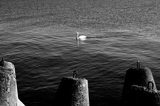 Baltic sea (Latvia)