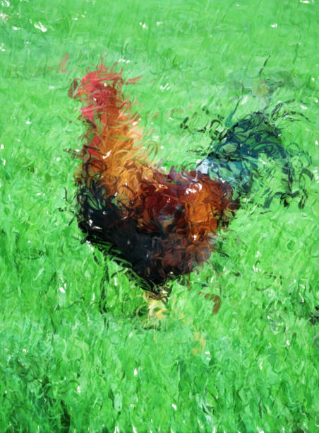 Big cock on stone floor. Digital illustration in painting style. Square image of 2017 chinese new year symbol. New year card template. White fat rooster with red cock in Asia. Fluffy cute animal bird.