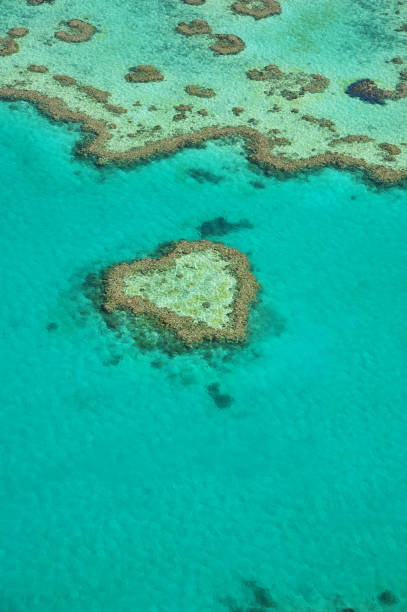 istock Heart reef at the Great Barrier reef in Australia 987349786