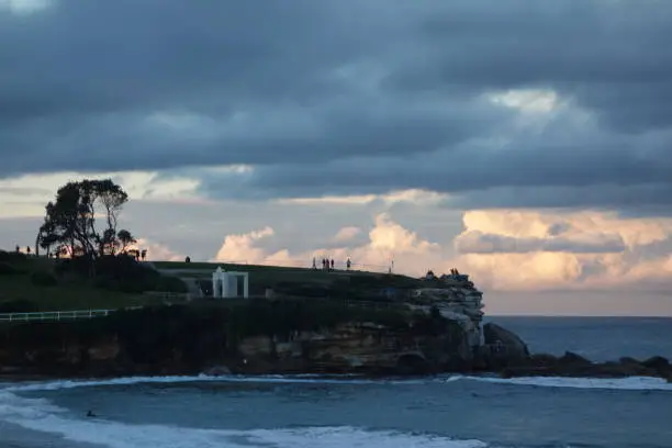 Photo of Coastal Walk Sydney