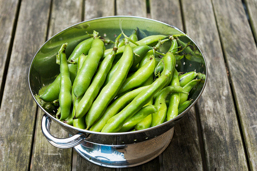 Fresh picked broad beans in a colander on a wooden table, high angle view