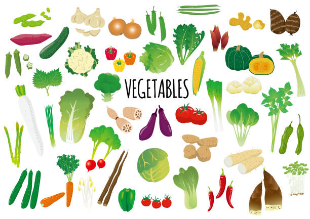 иллюстрированный набор овощей - vegetable asparagus cauliflower legume stock illustrations