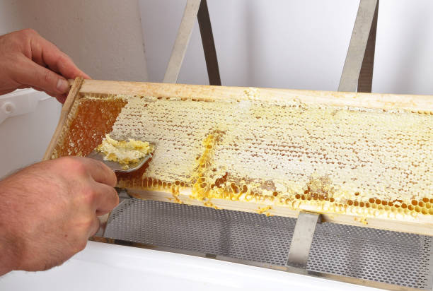 Uncapping of honeycomb at plastic tub