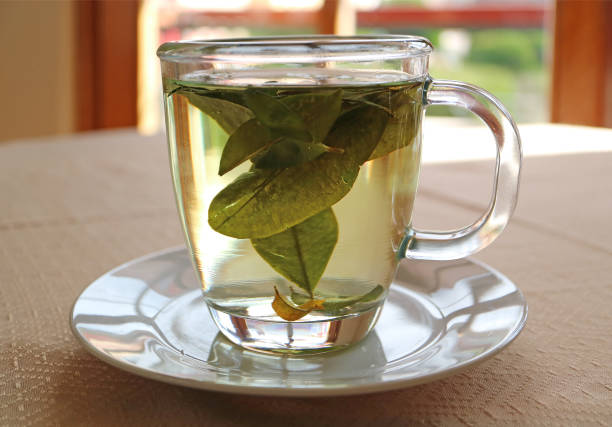 istock One cup of Hot Coca Tea served on table by the window, Puno, Peru 987402362