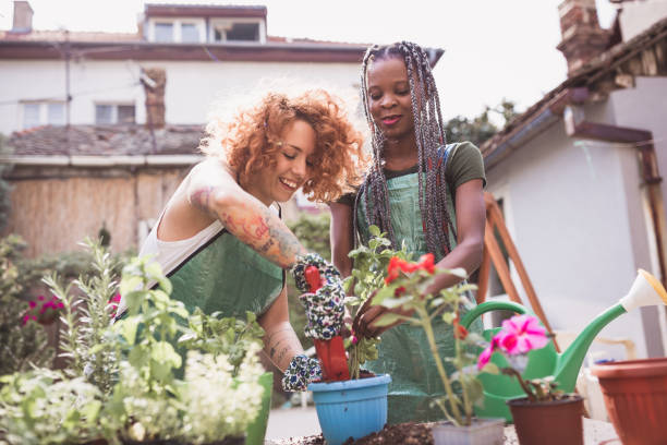 istock Ginger and African woman doing re-potting in a backyard 987413204