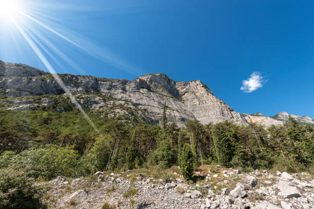 Forest and Mountains in Sarca Valley (Valle del Sarca) near Arco and the Lake Garda in Trentino Alto Adige, Italy, Europe