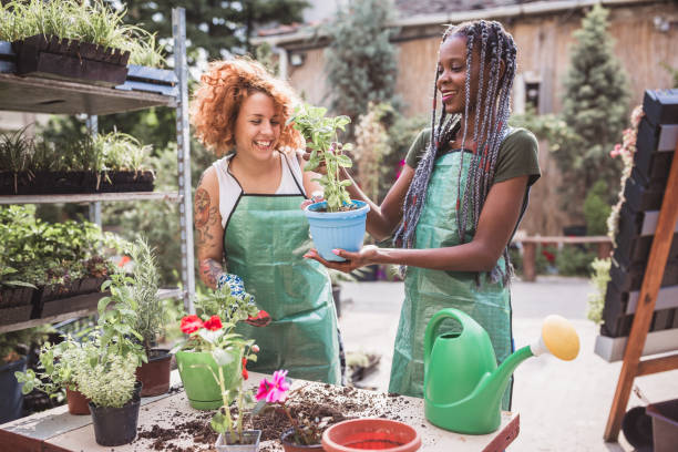 istock Ginger and African woman doing re-potting in a backyard 987413664