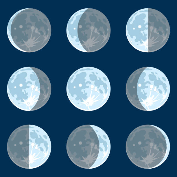 illustrazioni stock, clip art, cartoni animati e icone di tendenza di fasi lunari - luna