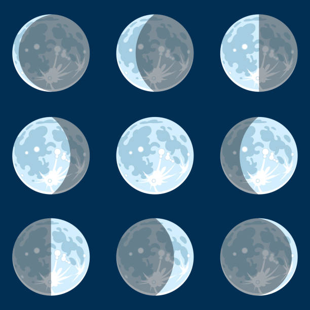 Moon Phases Vecter illustration of moon phases crescent moon stock illustrations