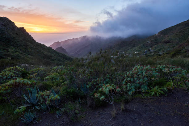 istock sunset shot in the mountains 987442904