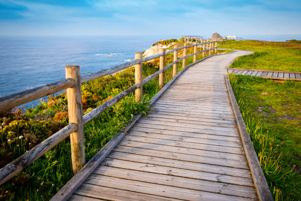 istock Wildflowers by the sea 987451540