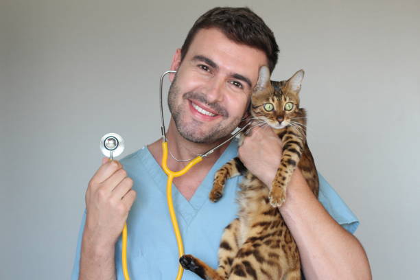 istock Cute vet with a furry patient 987452902