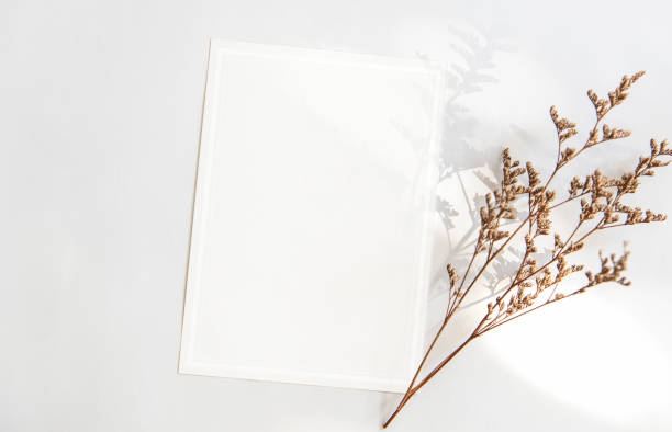 istock Blank white greeting card with flower. for mockup template. vintage tone. 987457410