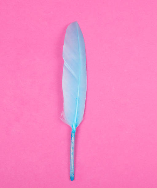 istock Blue feather as a quill pen on a bright pink background 987499482