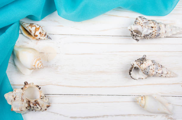 istock Seashells and light blue fabric on a white wooden background 987500144