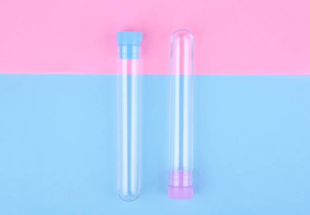 Two empty test tubes on a pink and blue paper background (minimal concept, top view)