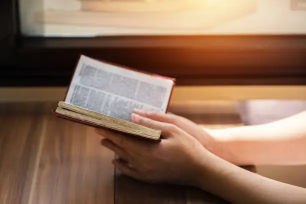 Women reading the Holy Bible.,Reading abook.