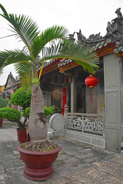 istock Plant at Phuoc Kien Assembly Hall 987542800