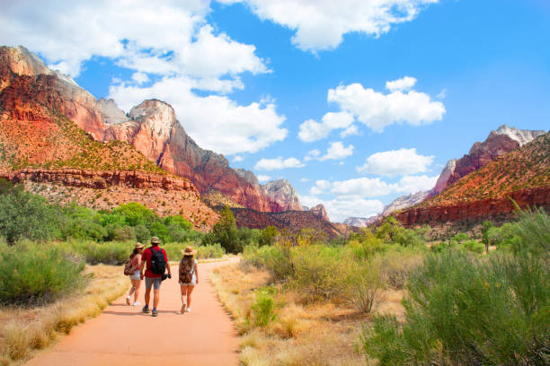 Family on hiking trip in the mountains walking on pathway. People on hiking trip in the mountains walking on pathway. Zion National Park, Utah, USA zion stock pictures, royalty-free photos & images