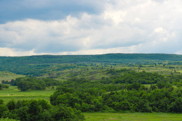 istock Green hills and meadows in 987557966