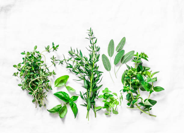 istock Range of fragrant garden herbs on a light background-tarragon, thyme, oregano, basil, sage, mint. Healthy ingredients, top view. Copy space, flat lay 987557976