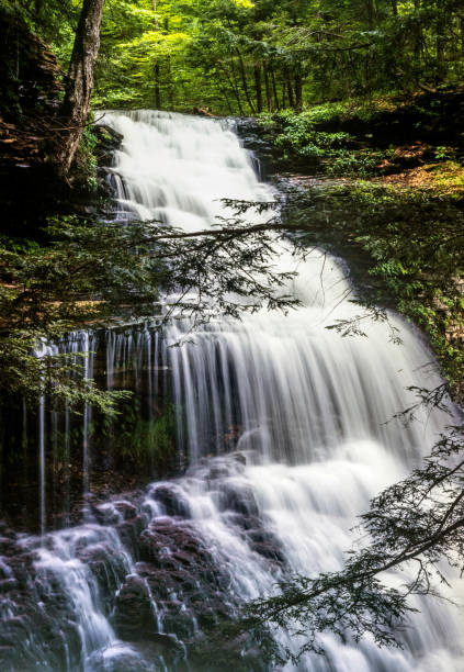 istock Ricketts Glen harbors Glens Natural Area 987561822