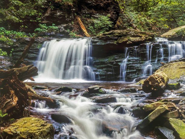 istock Ricketts Glen harbors Glens Natural Area 987561842