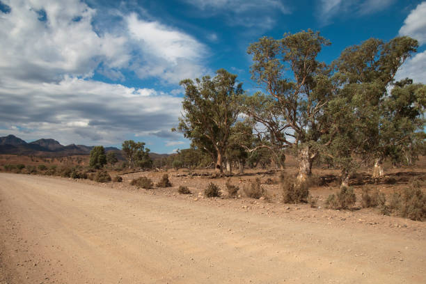 istock Scene from dirt road on an cloudy day 987567710