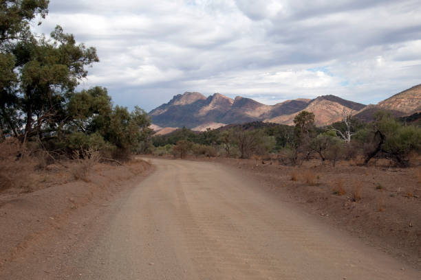 istock Scene from dirt road in the flinders ranges on an overcast day 987568444
