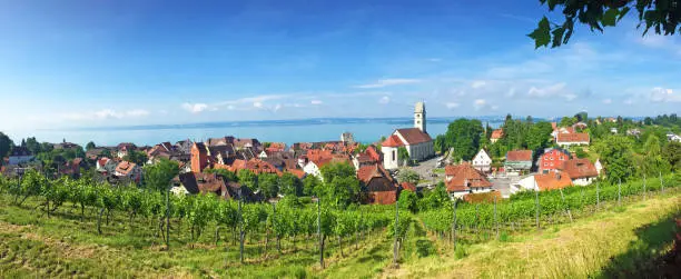 View on town Meersburg with vineyard and lake constance in background
