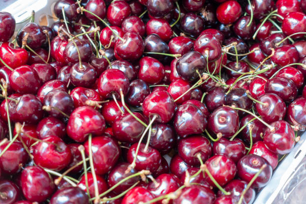 istock closeup of ripe cherries 987577378