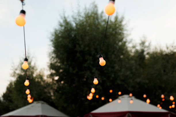 istock warm light bulbs at the evening event 987584664